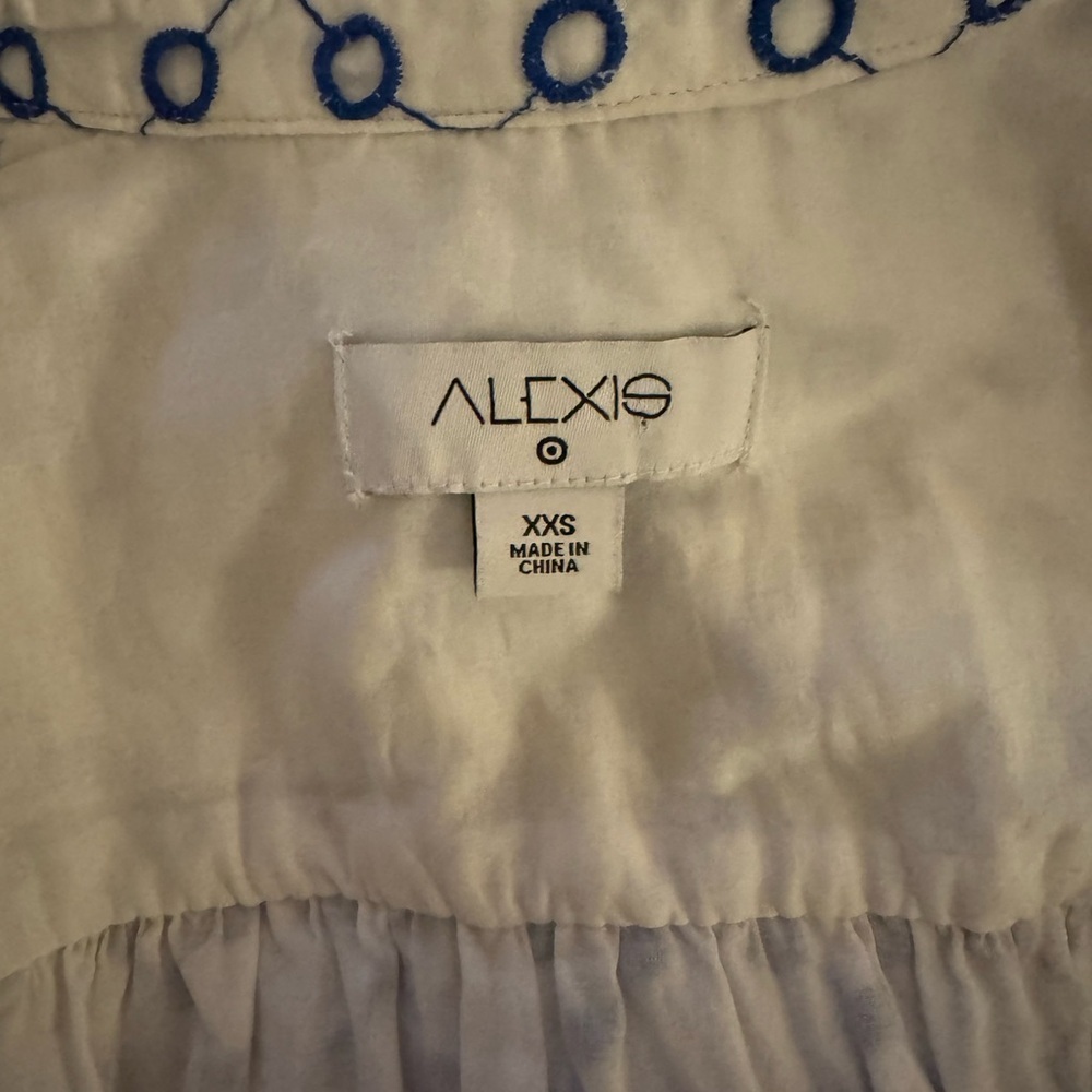 Alexis x Target Dot Embroidered Shirtdress - Picture 8 of 8